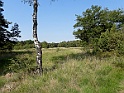 Buurserzand [15494] 23-jun-2019 (Buurserzand, Buurse)
